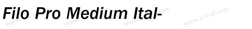 Filo Pro Medium Ital字体转换